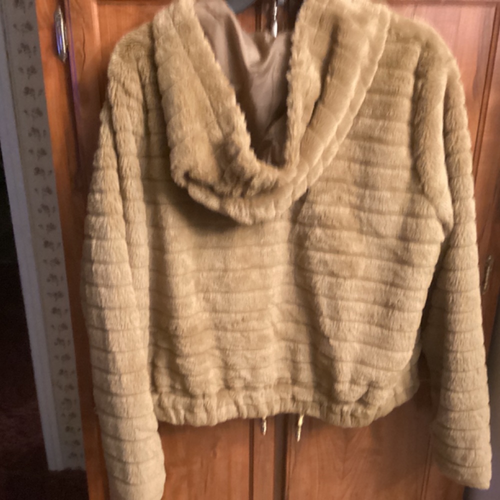 Jacket - Picture 2 of 2